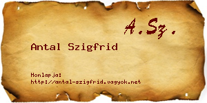 Antal Szigfrid névjegykártya